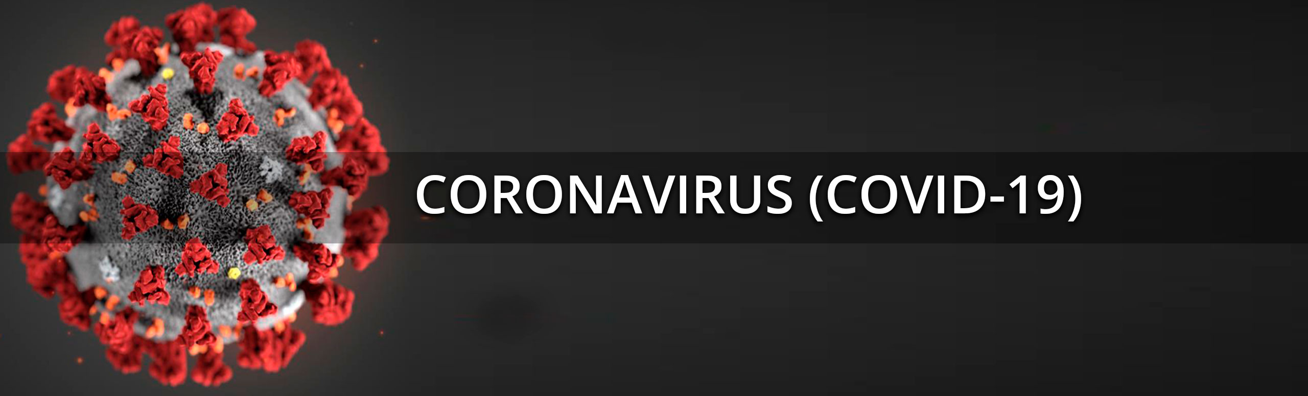 Banner picture of the virus. Banner says:
Coronavirus