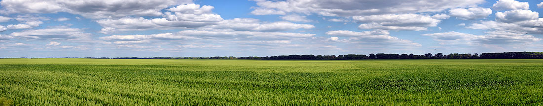 Banner picture of a big and open field. There is a lot of clouds in the sky.
