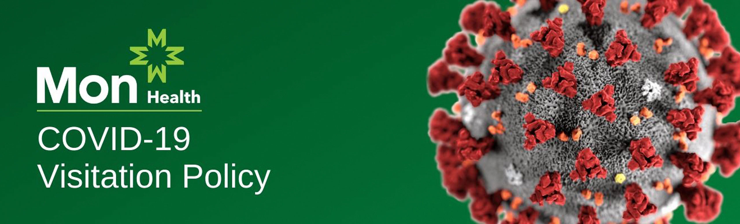 Banner picture of the coronavirus. Banner says: Health Covid - 19 Visitation Policy