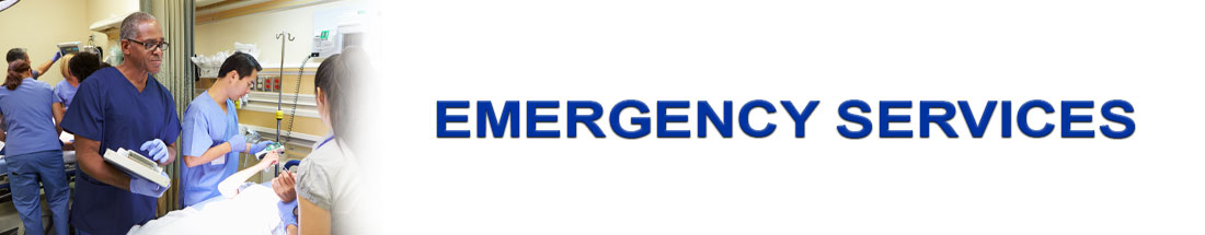 Banner picture of a male Nurse talking to a patient in an emergency room. There is other Nurses and Physicians in the room. Banner says:
Emergency Services