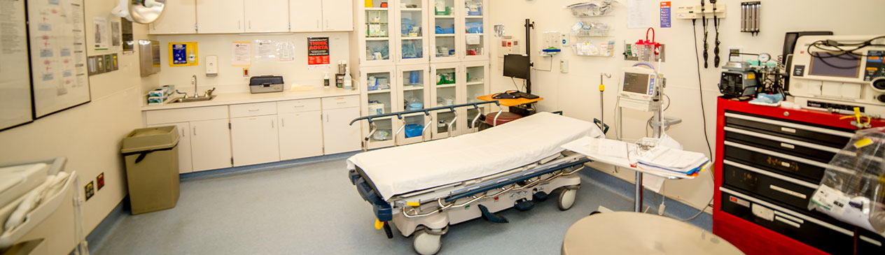 Banner picture of an Emergency patient room. There is a stretcher bed, medical equipment, and cabinets with medical objects.
