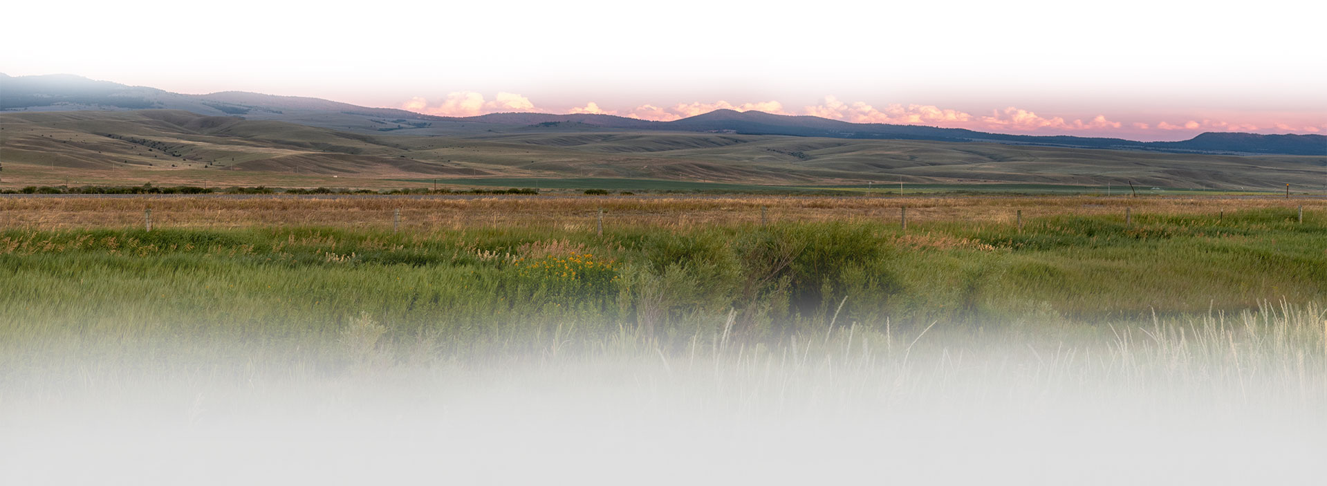 Banner picture of a grassy large field piece of land. There is mountains and hills in the distance.