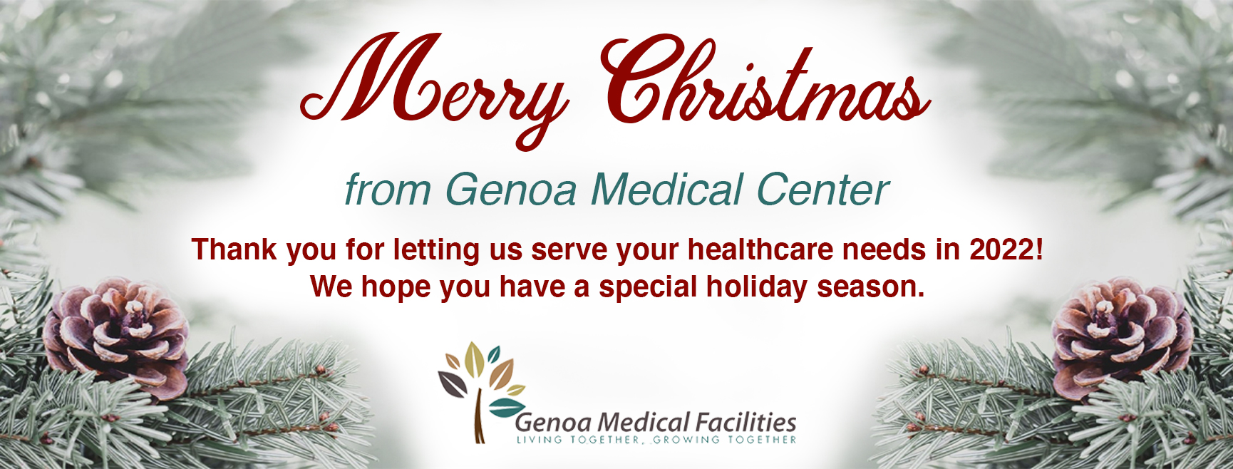 Merry Christmas from Genoa Medical Center Thank you for letting us serve your healthcare needs in 2022!
We hope you have a special holiday season. with pinecones Christmas theme.
