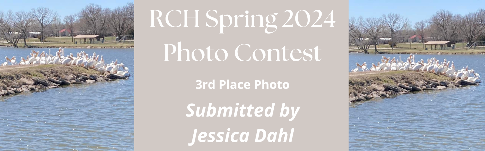 Spring Photo Contest 2024 - 3rd place