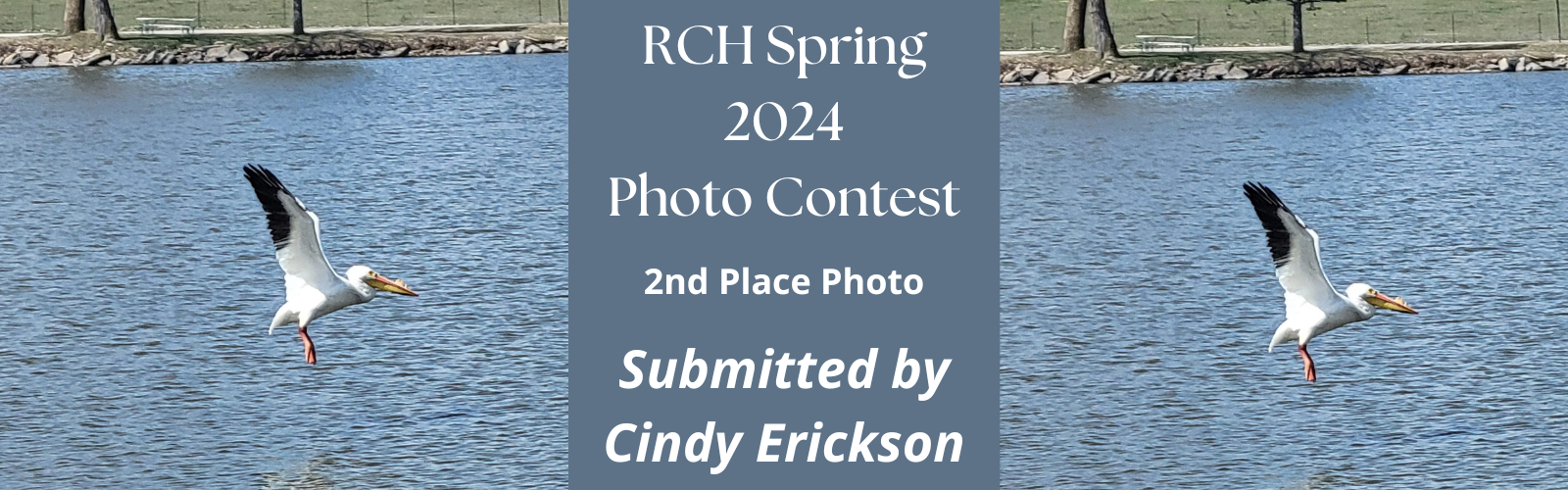 Spring Photo Contest 2nd place