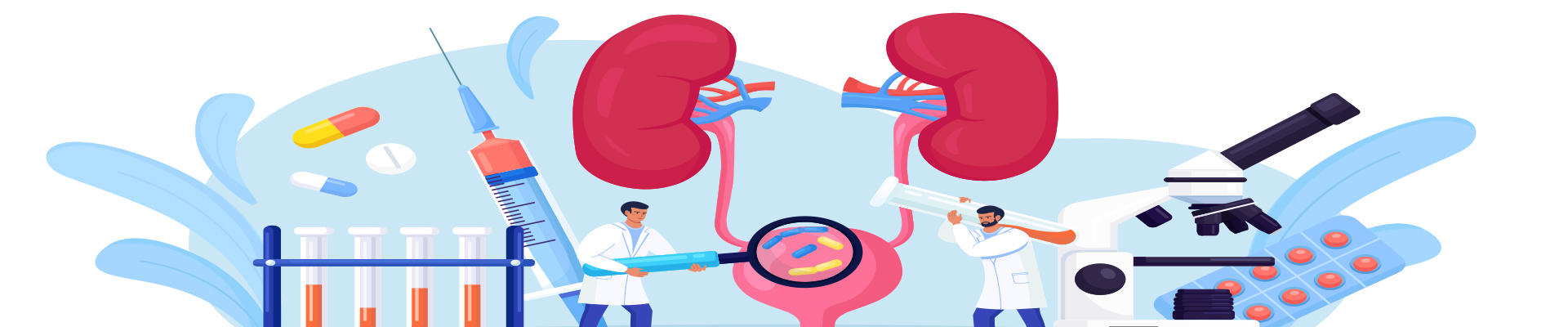 Urology is the branch of medicine that focuses on surgical and medical diseases of the urinary-tract system and the reproductive organs. Organs under the domain of urology include the kidneys, adrenal glands, ureters, urinary bladder, urethra, and the male reproductive organs.
