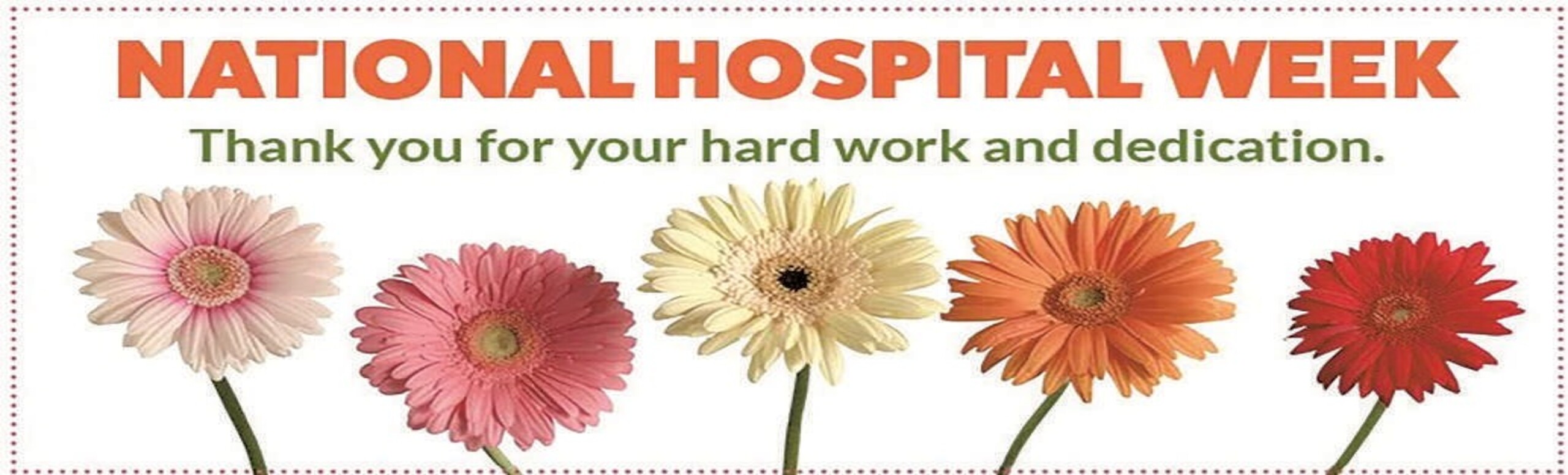 National Hospital Week with orange, cream and pink gerber daisys