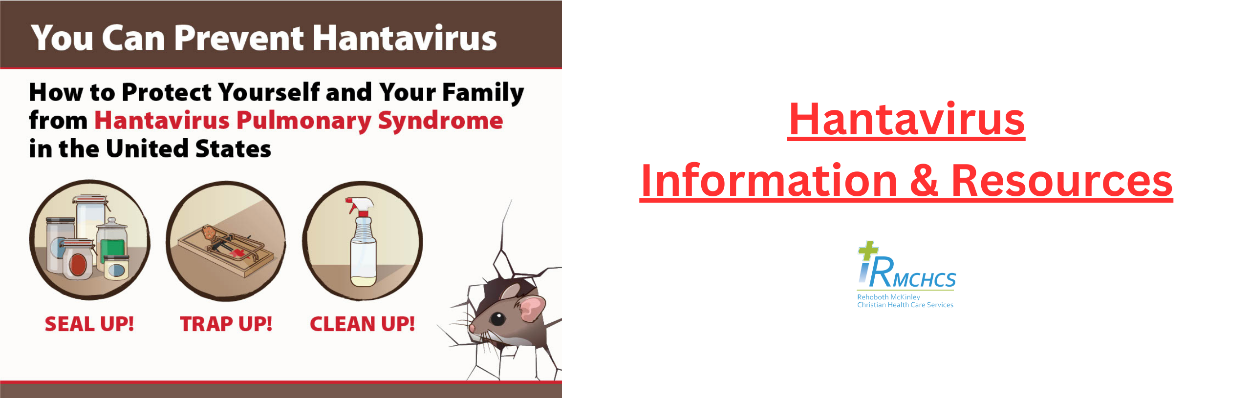 Hantavirus Information & Resources