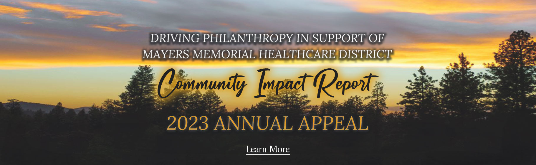 Driving Philanthropy in support of Mayers Mermorial Healthcare District 

Community Impact Report

2023 Annual Appeal

Learn More by clicking here