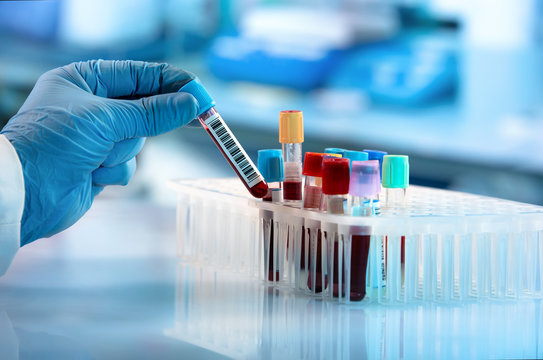 Laboratory Services