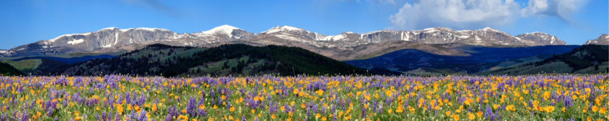 North Big Horn Hospital Foundation