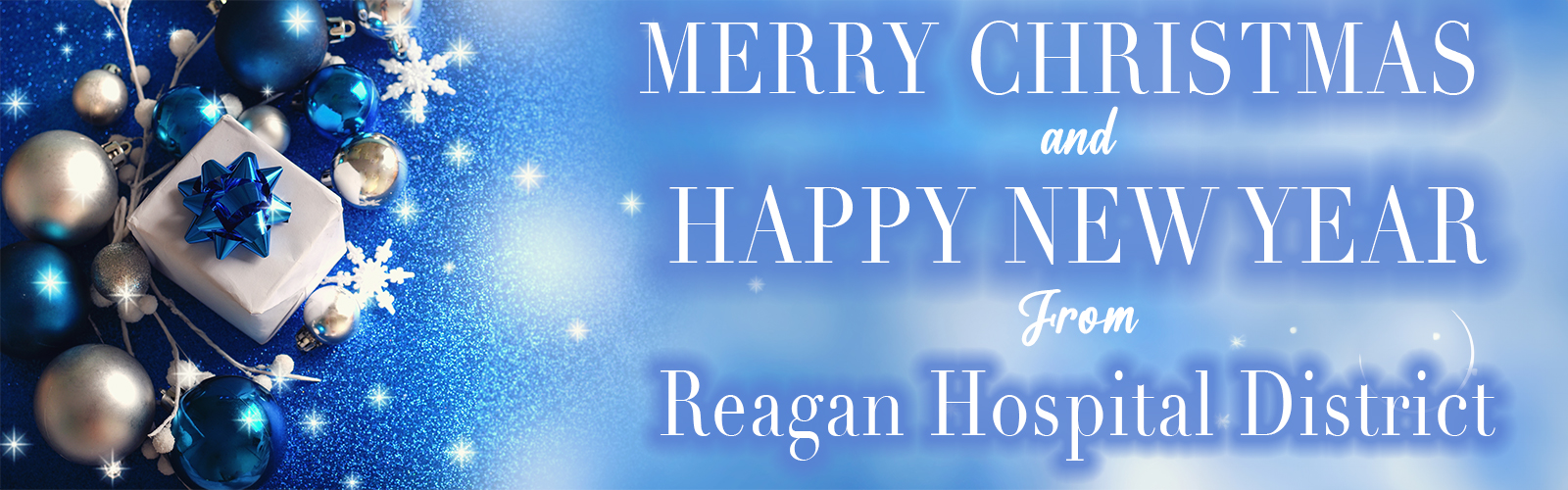 Reagan Holiday Banner