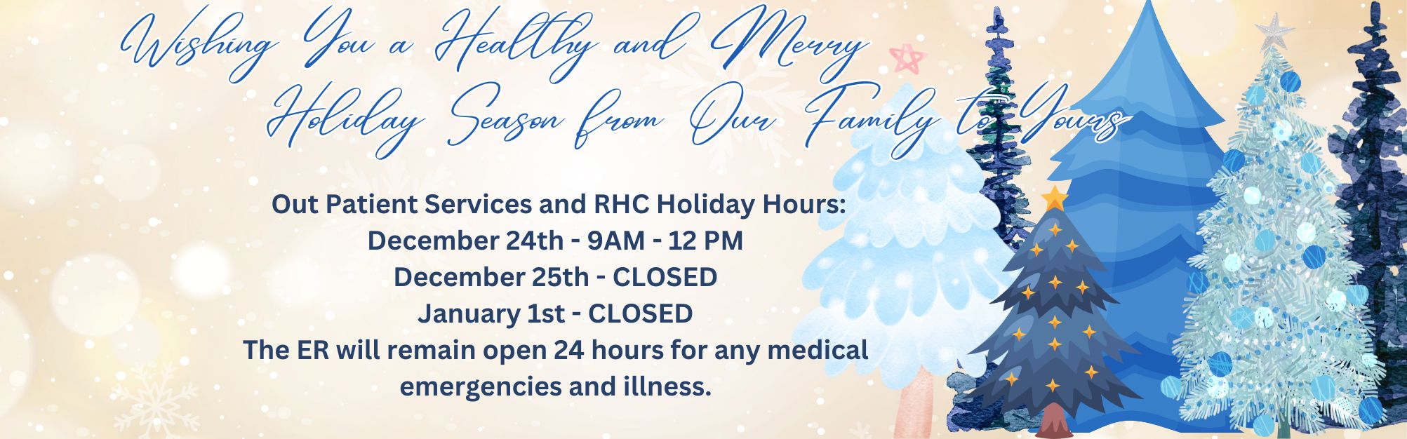 Christmas hours