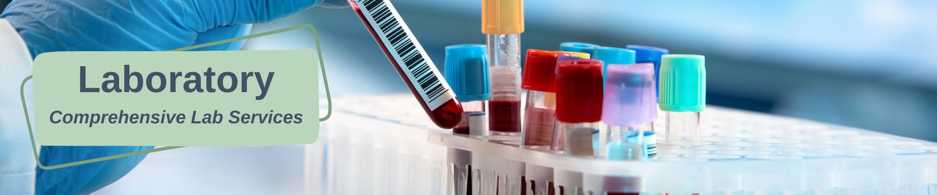 Laboratory. Comprehensive Lab Services