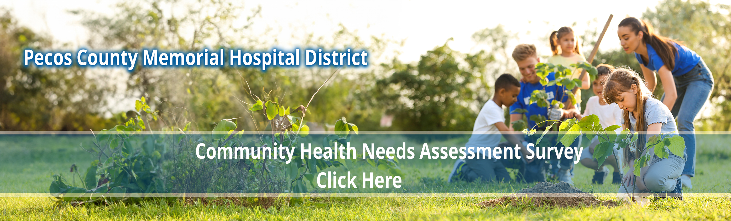 Community Needs Assesment Survey