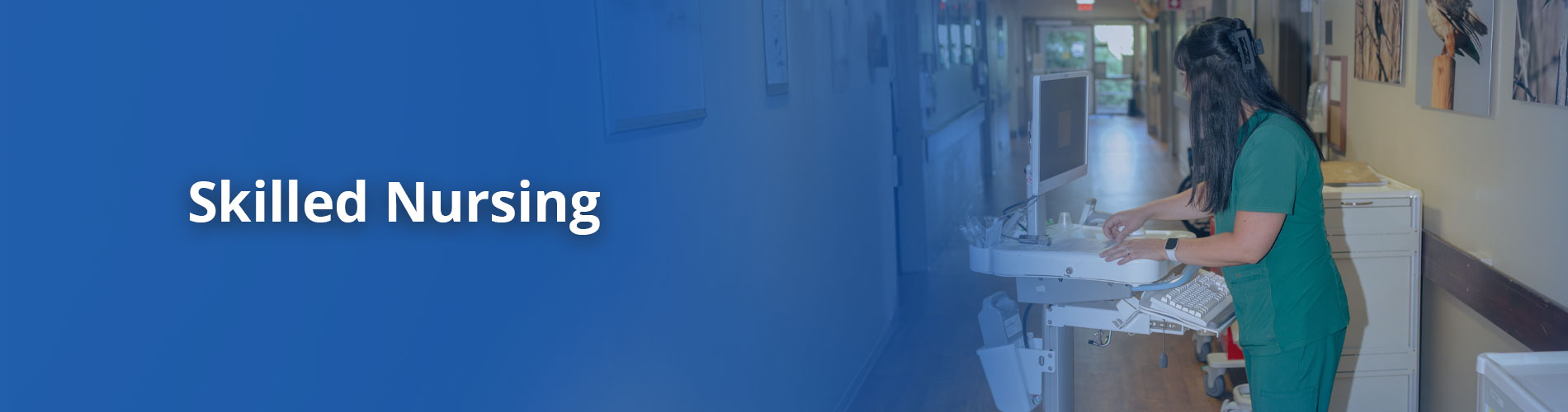 Skilled Nursing