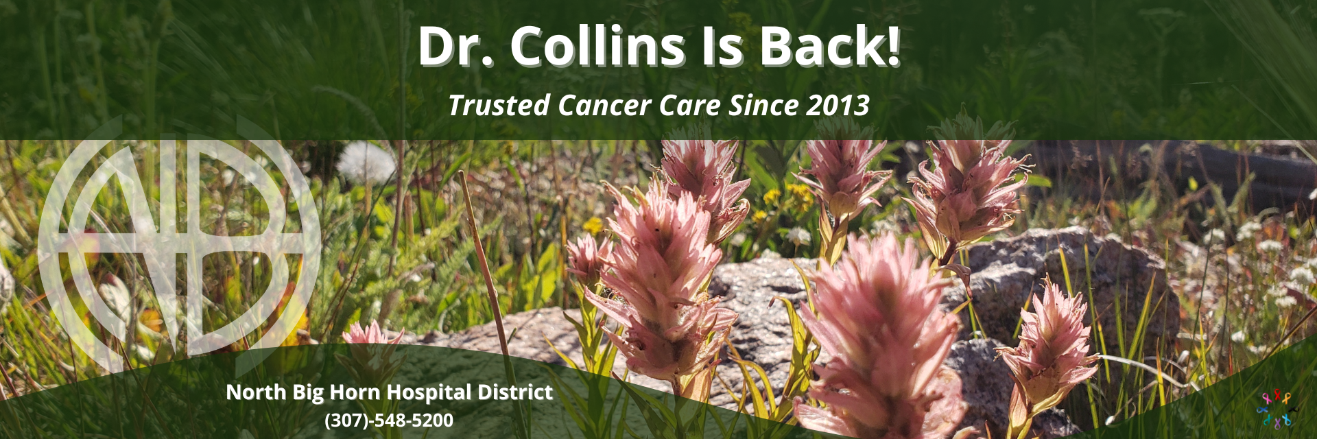 Dr. Collins is back!