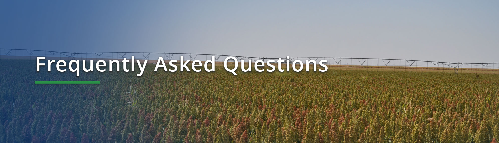 Frequently Asked Questions