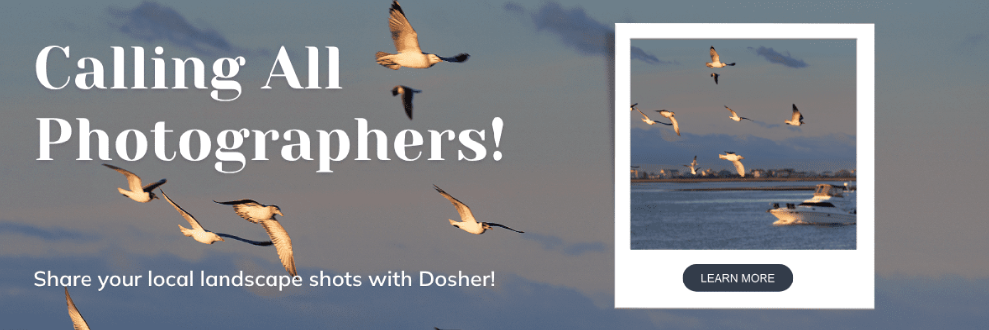 Calling all Photographers