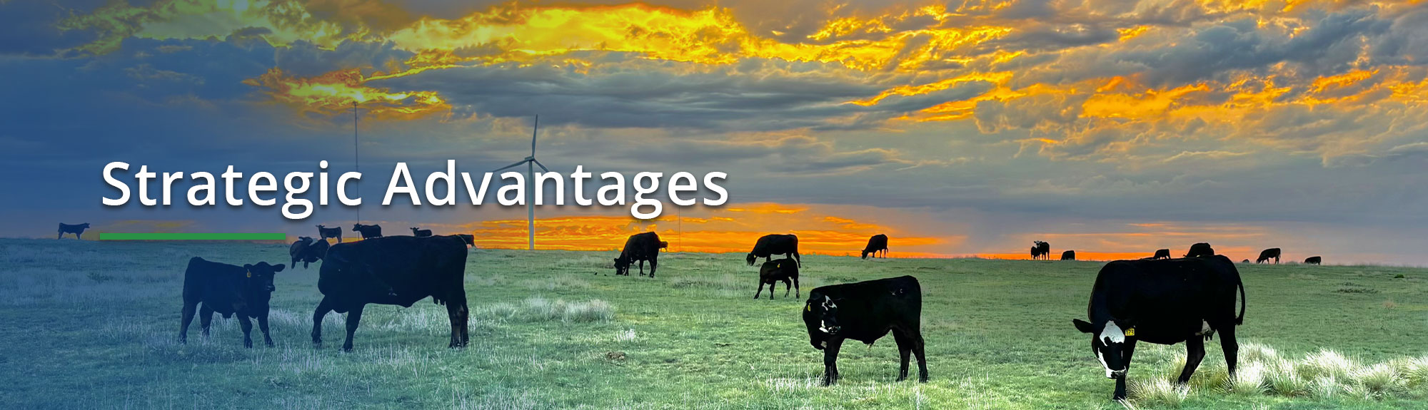 Strategic Advantages