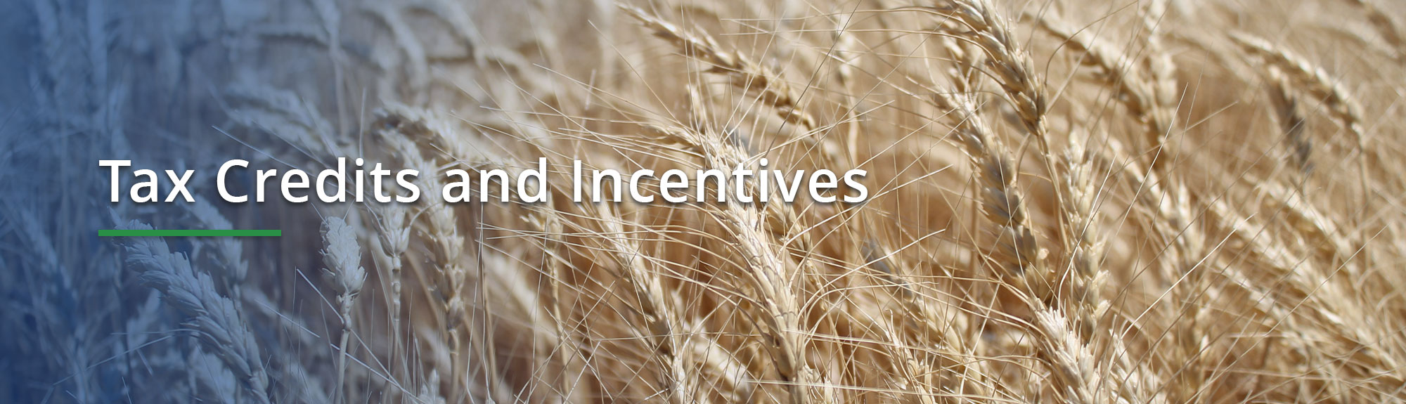 Tax Credits and Incentives