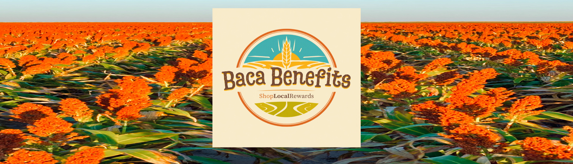 Baca Benefits