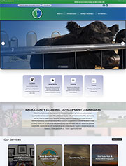 Baca County Economic Development Commission thumbnail image of site.